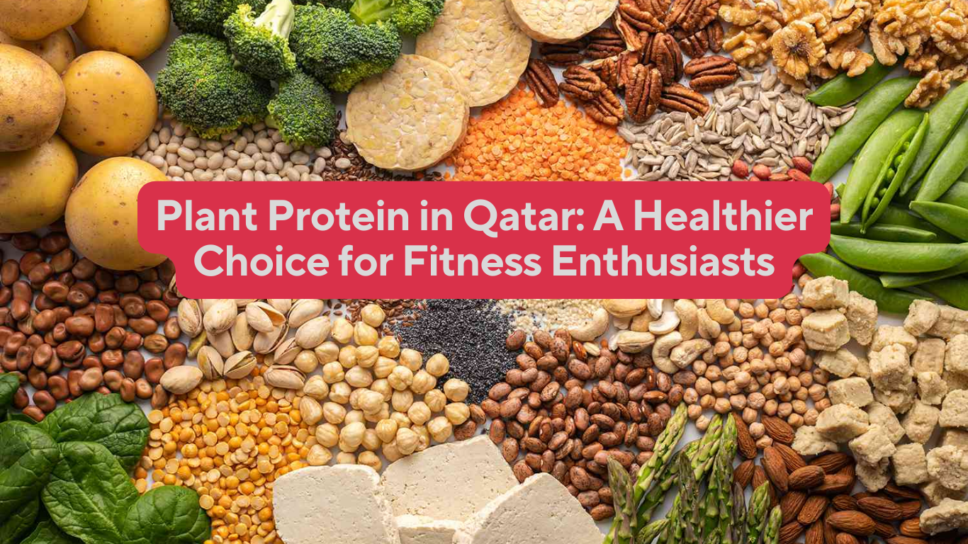 Plant Protein in Qatar: A Healthier Choice for Fitness Enthusiasts